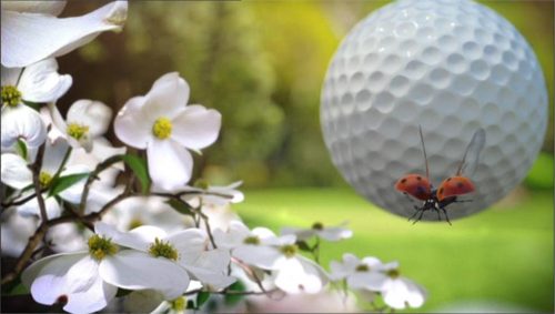 Sky Sports Promo - The Masters 2012 - 3D 04-02 23-07-48