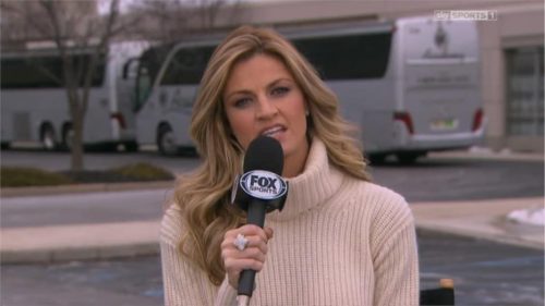 Erin Andrews - FOX NFL Sidelines Reporter (1)