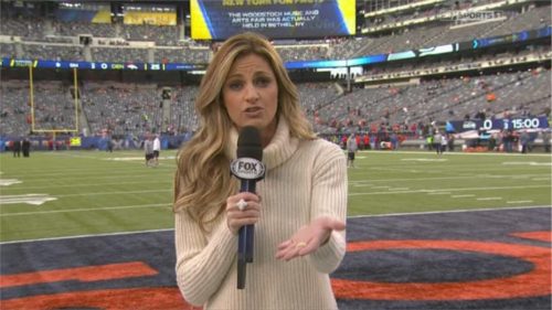 Erin Andrews - FOX NFL Sidelines Reporter (3)