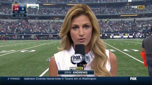 Erin Andrews - NFL on Fox - Sideline Reporter (1)
