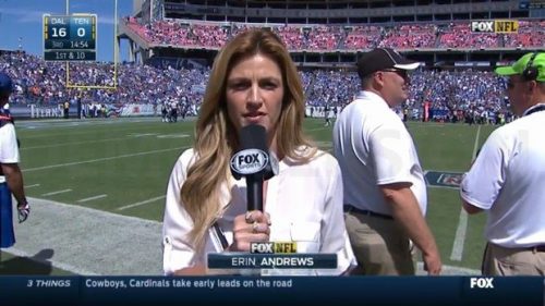 Erin Andrews - NFL on Fox - Sideline Reporter (10)
