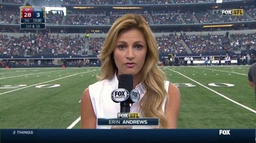 Erin Andrews - NFL on Fox - Sideline Reporter (14)