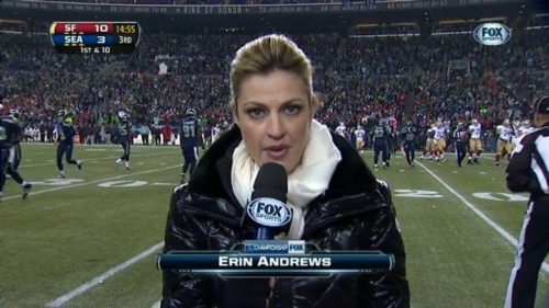 Erin Andrews - NFL on Fox - Sideline Reporter (2)