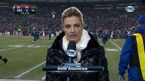 Erin Andrews - NFL on Fox - Sideline Reporter (3)