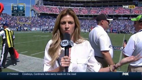 Erin Andrews - NFL on Fox - Sideline Reporter (9)