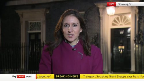 Tamara Cohen Sky News