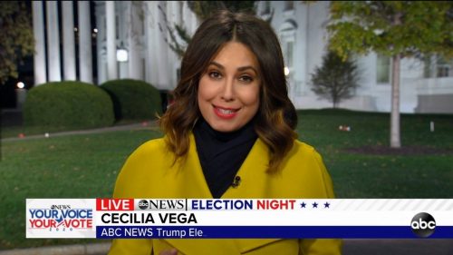 ABC News - US Election 2020 Coverage (38)