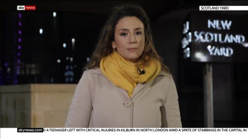 Milena Vesekinovic - Sky News Reporter (4)