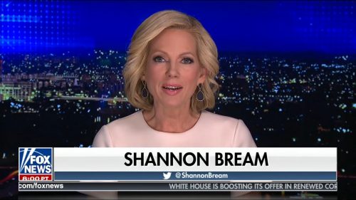 Shannon Bream Fox News Presenter