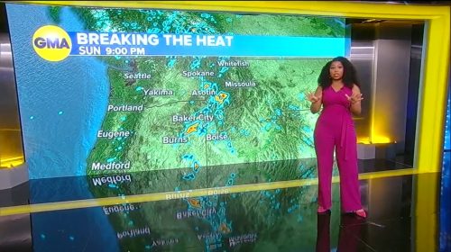 Somara Theodore ABC News Weather Presenter